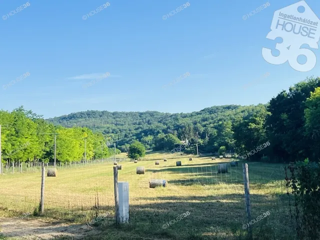 Eladó telek Szekszárd 11242 nm