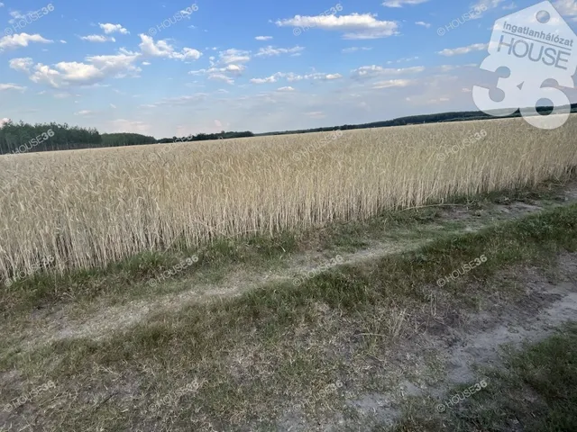 Eladó telek Csemő 4906 nm