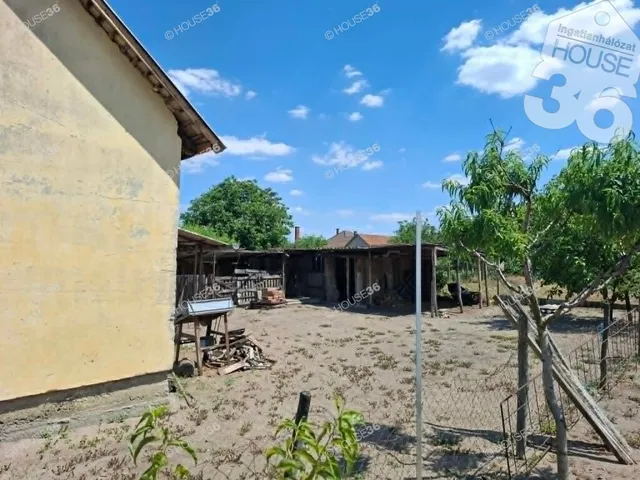 Eladó ház Ágasegyháza 174 nm