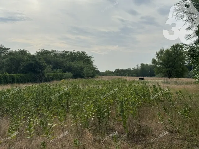 Eladó telek Kecskemét, Hetényegyháza 1886 nm