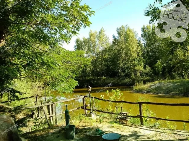 Eladó ház Fülöpszállás 155 nm
