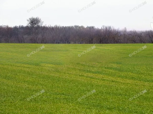 Eladó kereskedelmi és ipari ingatlan Nagykőrös 302380 nm
