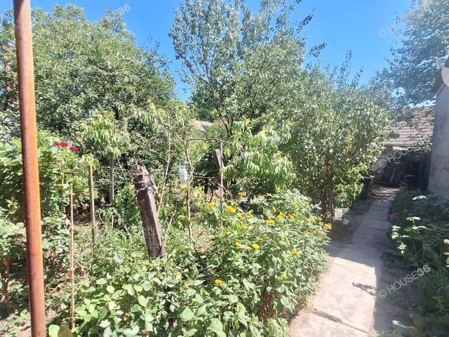 Eladó ház Tiszaalpár 81 nm