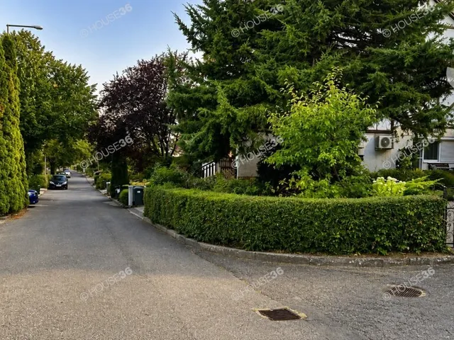 Eladó ház Szekszárd 224 nm