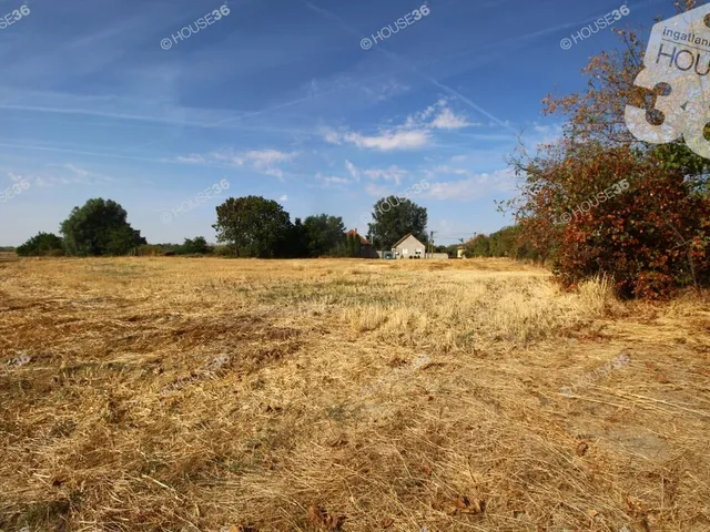 Eladó telek Foktő 3755 nm