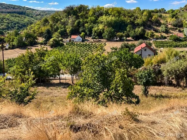 Eladó telek Szekszárd 5784 nm