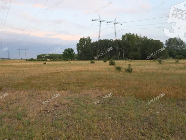 Eladó mezőgazdasági ingatlan Kiskunhalas 1 nm