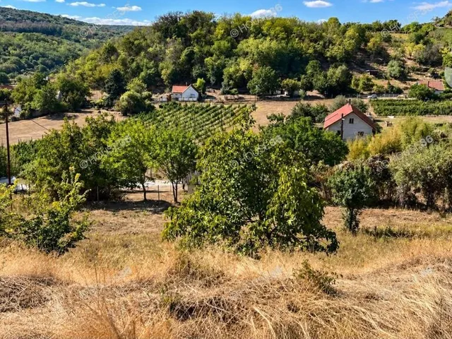 Eladó telek Szekszárd 5784 nm