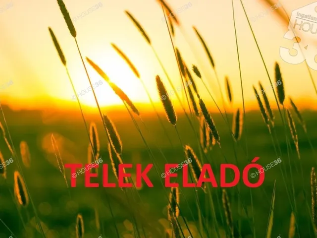Eladó telek Kecskemét, Úrihegy 6000 nm