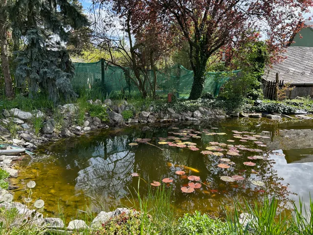 Eladó ház Erdőkertes 230 nm