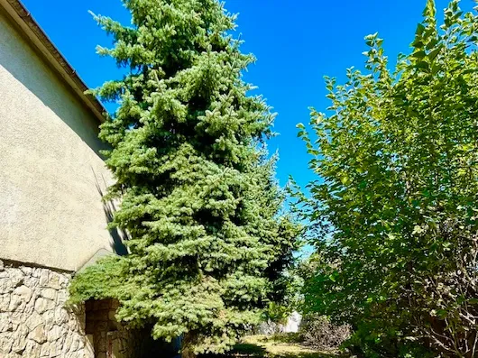 Eladó ház Kisbér 150 nm