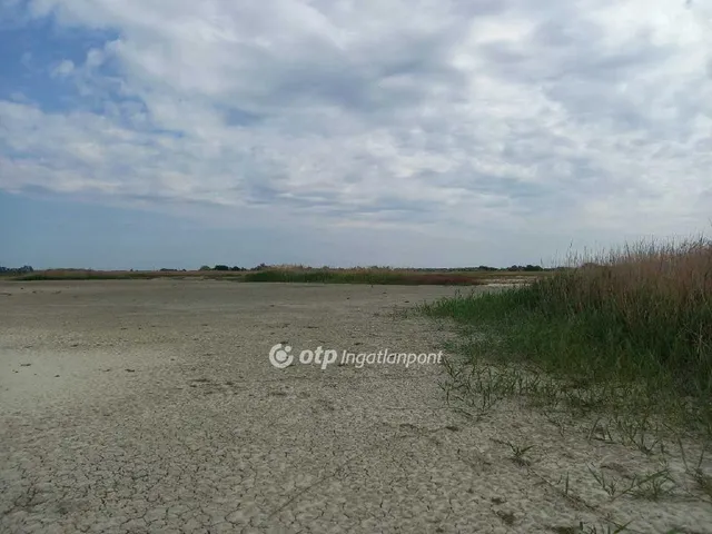 Eladó mezőgazdasági ingatlan Csongrád 159818 nm