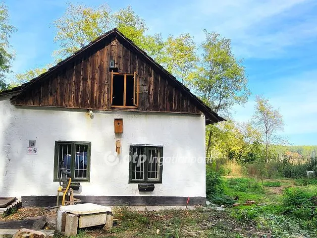 Eladó mezőgazdasági ingatlan Szentes 2877 nm