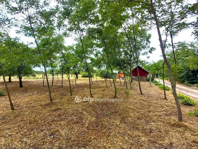 Eladó üdülő és hétvégi ház Csongrád 16 nm