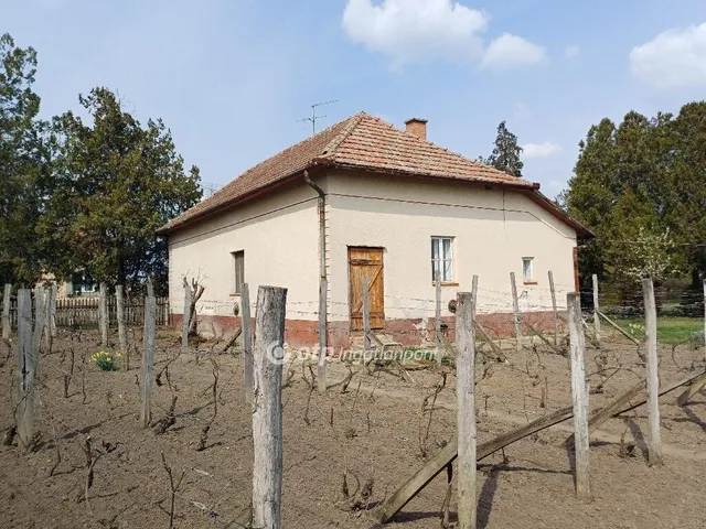 Eladó ház Csanytelek 91 nm
