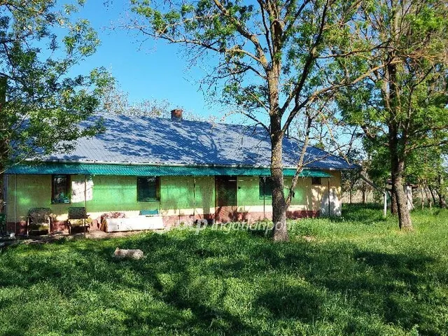 Eladó mezőgazdasági ingatlan Csongrád 77 nm
