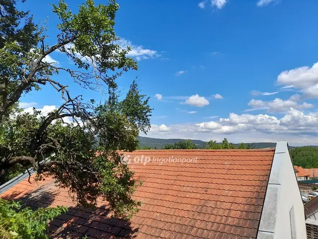 Eladó kereskedelmi és ipari ingatlan Solymár 300 nm