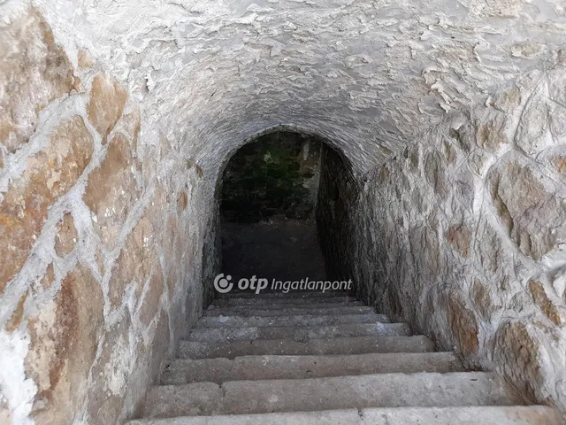 Eladó kereskedelmi és ipari ingatlan Solymár 300 nm