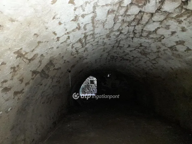 Eladó kereskedelmi és ipari ingatlan Solymár 300 nm