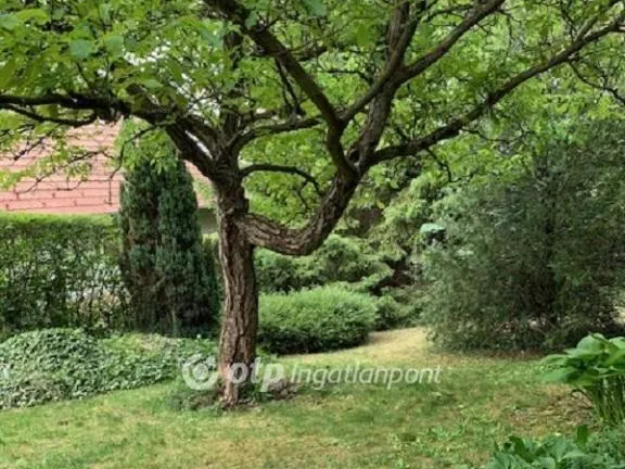 Eladó üdülő és hétvégi ház Solymár 40 nm