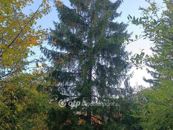 Eladó telek Solymár 921 nm