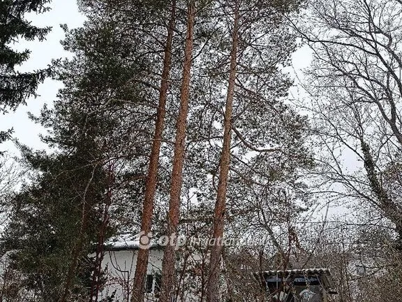 Eladó ház Solymár 190 nm