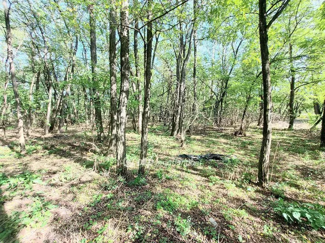 Eladó ház Kecskemét 228 nm