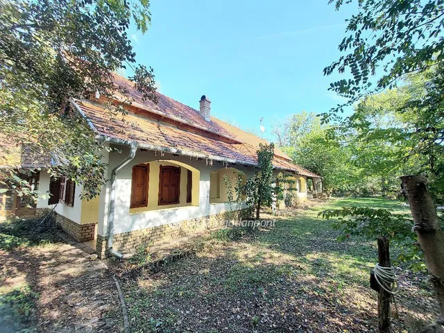 Eladó ház Kecskemét 228 nm