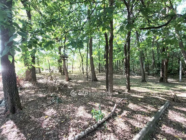 Eladó ház Kecskemét 228 nm