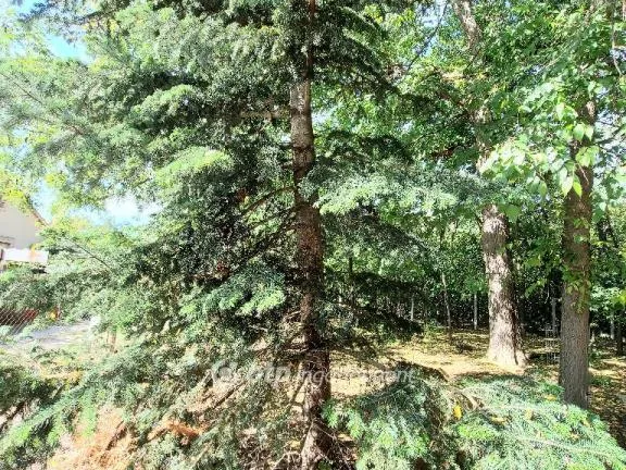 Eladó ház Kecskemét 228 nm