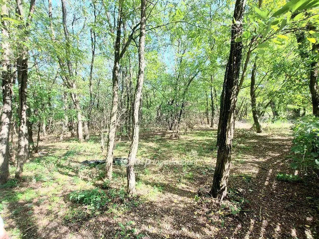 Eladó ház Kecskemét 228 nm