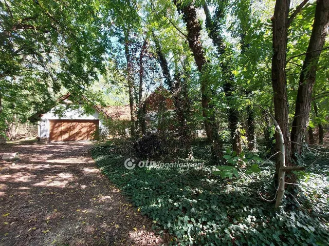 Eladó ház Kecskemét 228 nm