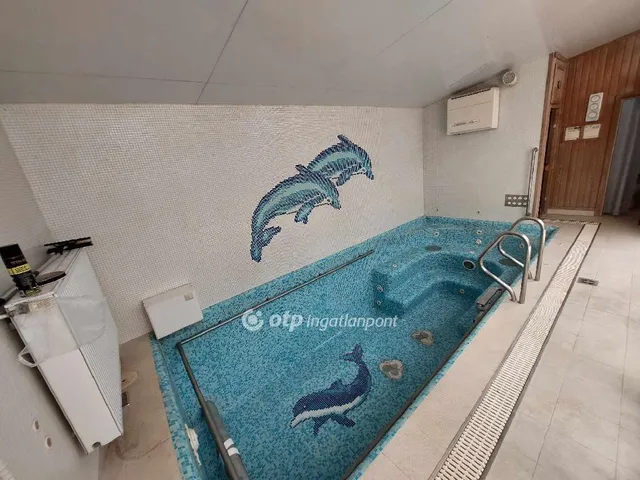 Eladó ház Kecskemét 320 nm