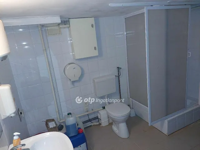 Eladó ház Kecskemét 320 nm