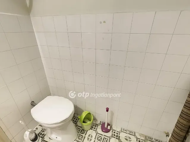Eladó üdülő és hétvégi ház Cegléd 240 nm