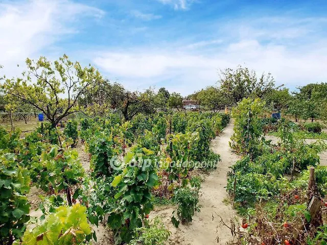 Eladó ház Abony 46 nm