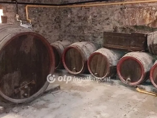 Eladó ház Kecskemét 248 nm