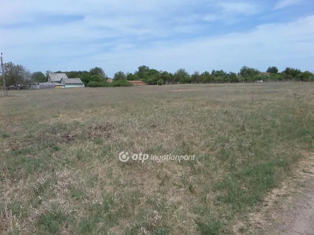 Eladó telek Kecskemét 6195 nm