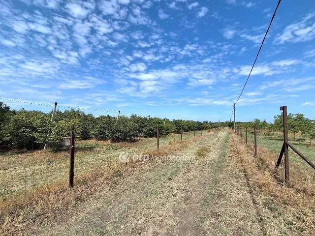 Eladó mezőgazdasági ingatlan Cegléd 36 nm