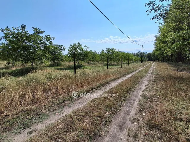 Eladó mezőgazdasági ingatlan Cegléd 36 nm