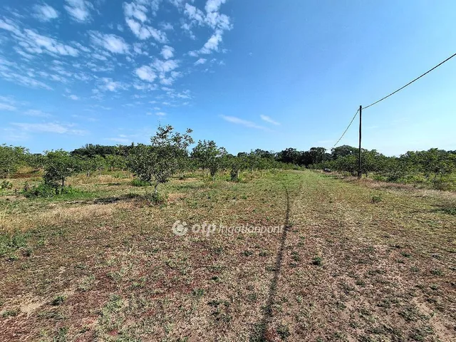 Eladó mezőgazdasági ingatlan Cegléd 36 nm