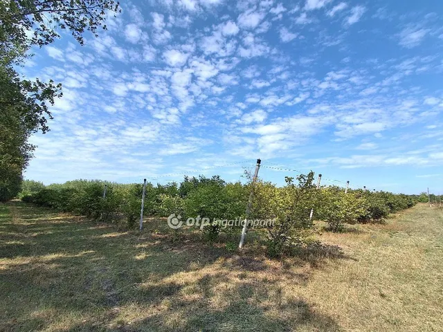 Eladó mezőgazdasági ingatlan Cegléd 36 nm