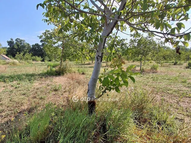Eladó mezőgazdasági ingatlan Cegléd 36 nm
