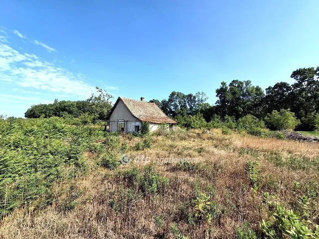 Eladó mezőgazdasági ingatlan Cegléd 36 nm