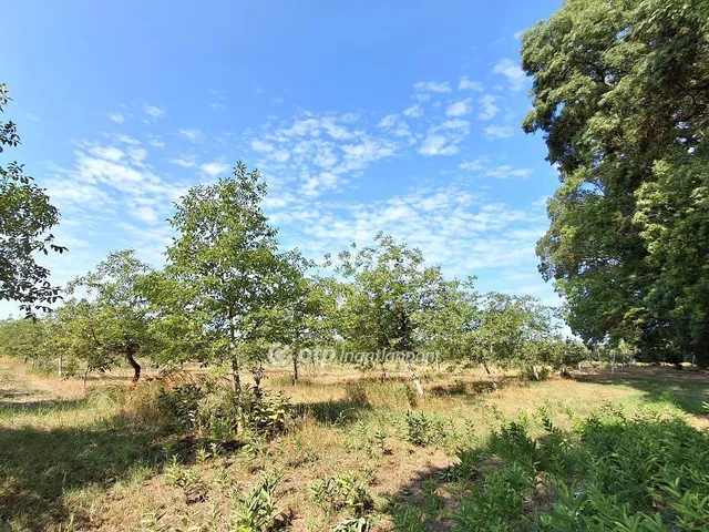 Eladó mezőgazdasági ingatlan Cegléd 36 nm