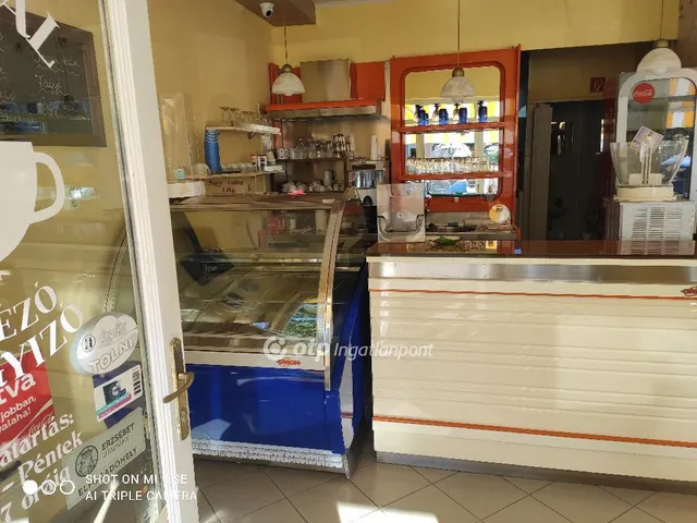 Eladó kereskedelmi és ipari ingatlan Kunszentmárton 37 nm