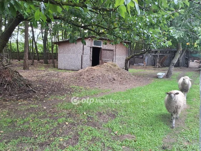 Eladó ház Albertirsa 168 nm