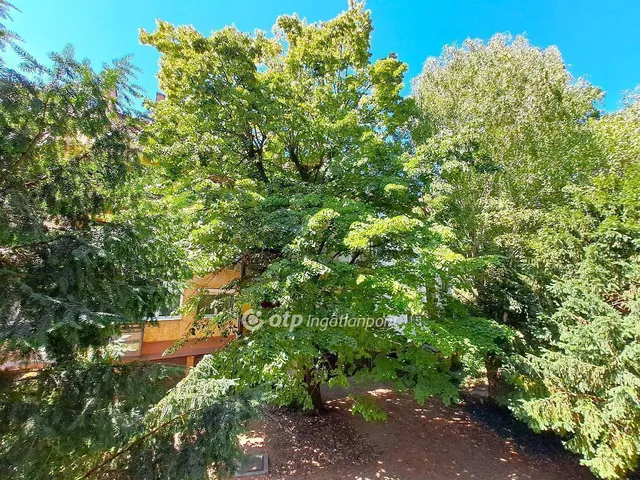 Eladó lakás Kecskemét 98 nm