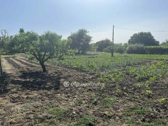 Eladó telek Cegléd 2229 nm