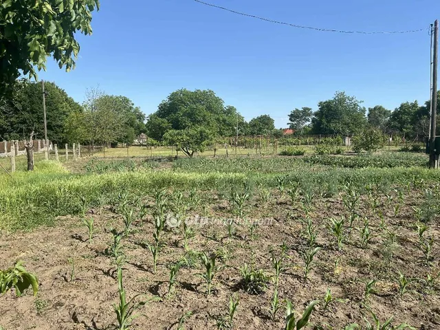 Eladó telek Cegléd 2229 nm